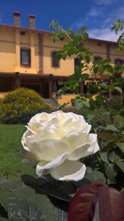 Boma Countryhouse Casale Bufalotta Exterior foto